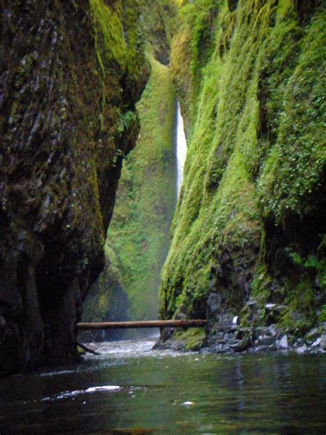 Oneonta Gorge Hike, Oregon