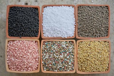 Different Types Of Fertilizers A Comprehensive Guide