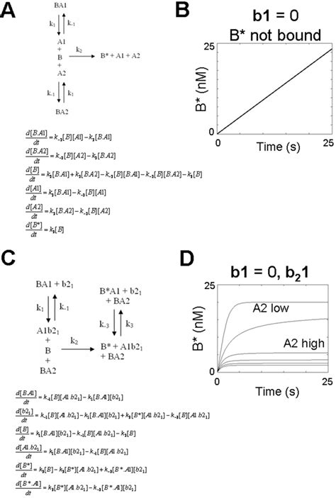 Activation of BAK in the absence of an activating BH3 domain. A ... 