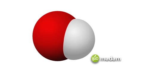 Difference between Strong and Weak Bases - biomadam