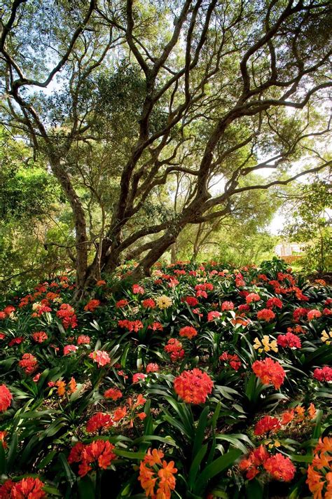 Babylonstoren | Great Gardens of the World