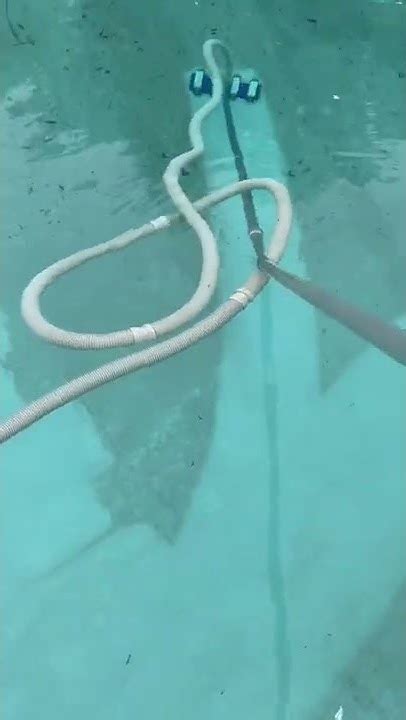 First Pool Vacuum Youtube