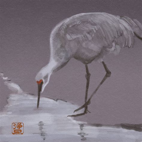 Sandhill Crane II – Sketchbook