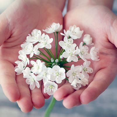 Richardson Funeral Home Obituaries Near Warner Robins Ga - masak