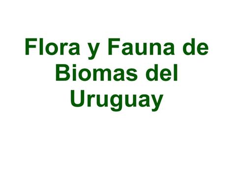 Flora Y Fauna De Biomas Del Uruguay Ppt