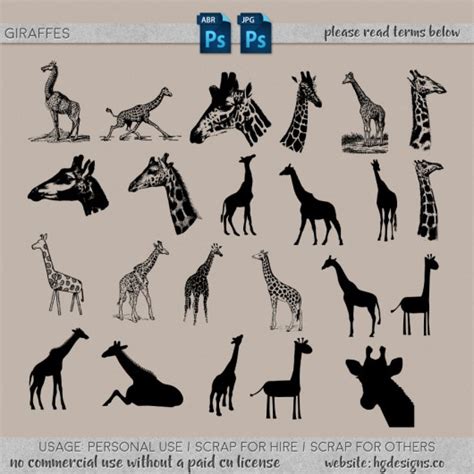 freebie: giraffe photoshop brushes – HG Designs