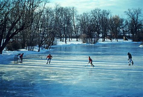 Pond Hockey Ice Hockey Frozen Pond Hockey