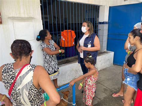 Animais De Desabrigados Recebem Assistência Veterinária Em Maceió