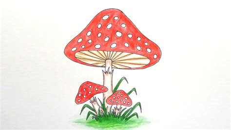 How To Draw A Simple Mushroom