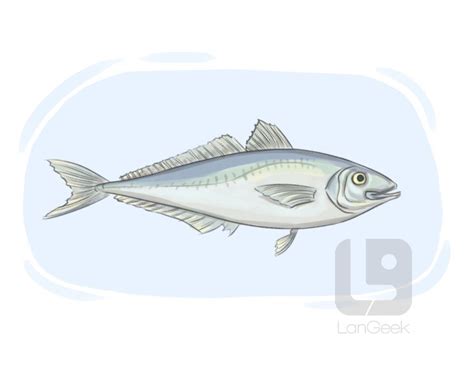 Definition & Meaning of "Horse mackerel" | LanGeek