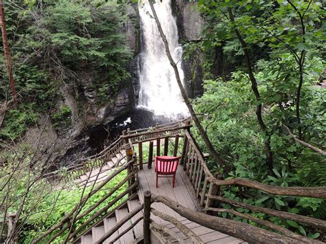 craigslist hbg pa pets 1