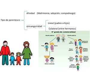 Parentesco Por Consanguinidad Sd Lighting