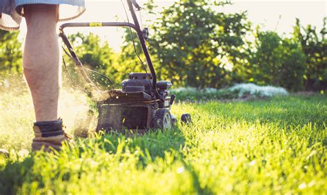 Top Lawn Mower Maintenance Tips For Optimal Performance Best Of Machinery