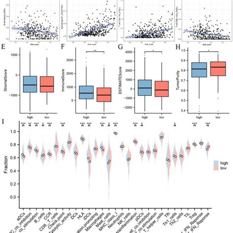 Tumor Immune Microenvironment Analysis Ad Immune Cell And Risk Model