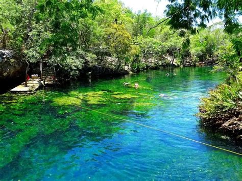 Jardin del Eden Cenote - Review - Playa del Carmen Blog