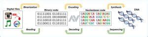 DNA Data Storage – Synthetic DNA – Future Of Storage – Ashutosh Viramgama