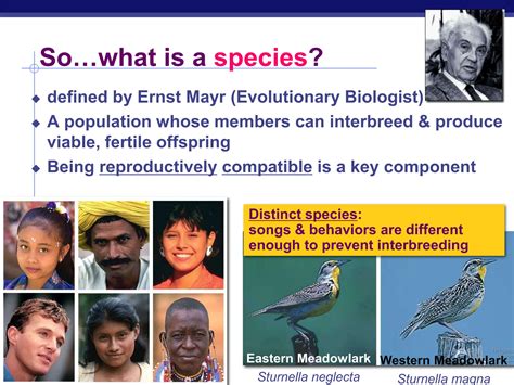 Speciation Types Ap Biology Presentation Ppt