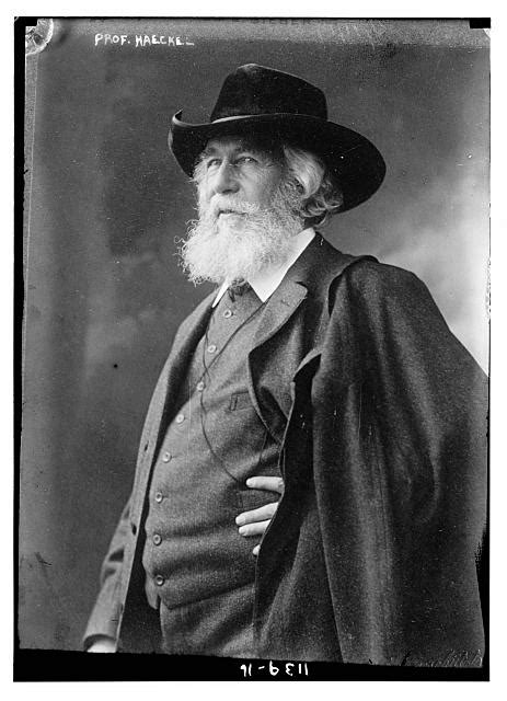 Ernst Haeckel Quotes. QuotesGram