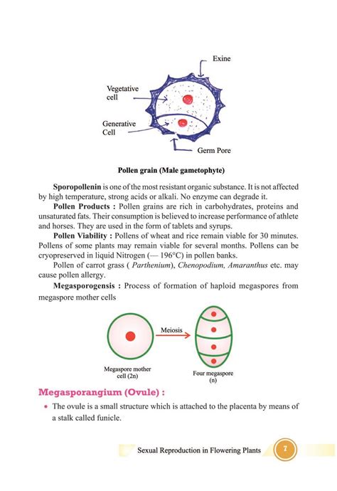 Sexual Reproduction In Flowering Plants Class 12 Notes Pdf पुष्पी