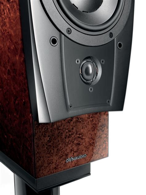 Dynaudio Confidence C Platinum Reptil Audio