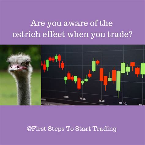 ostrich effect  steps  start trading