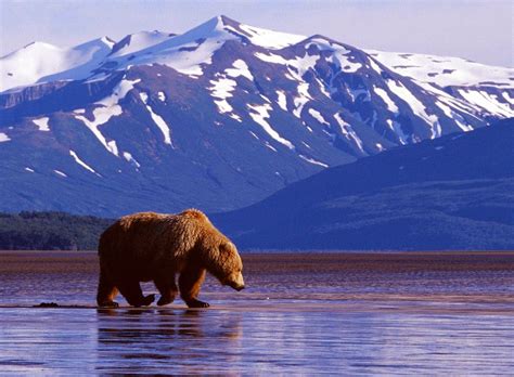 Tourism World: Alaska State of USA