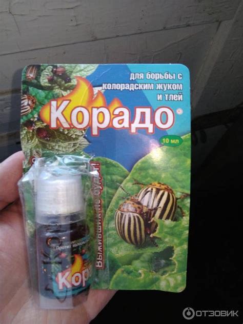 Корадо от колорадского жука: инструкция по применению, как развести, отзывы