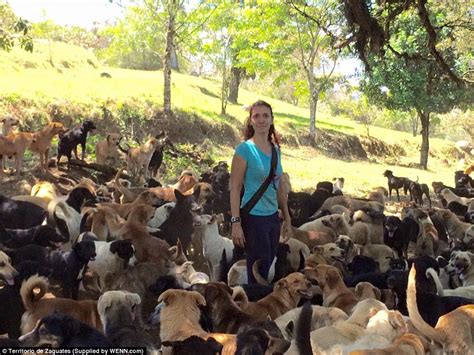 Doggy Heaven! The canine paradise 'Land Of The Strays' in Costa Rica where nearly 1,000 pooches ...