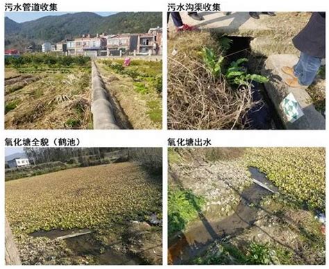 福建省农村生活污水处理典型案例 全球新能源网