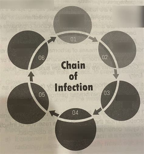 Chain Of Infection Diagram Printable