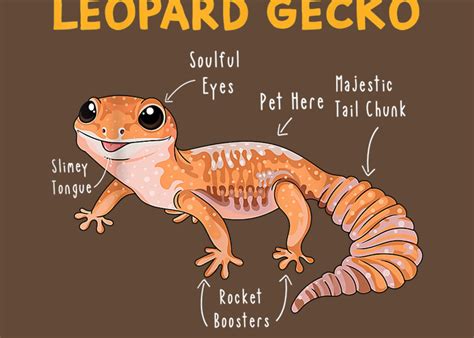 Anatomy Of A Leopard Gecko Funny Gecko Mom Reptile Dad Greeting Card By