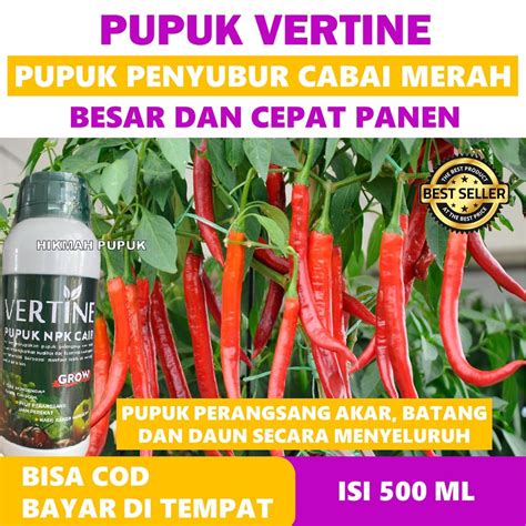 Jual Pupuk Ajaib Vertine Pupuk Npk Terbaik Meyuburkan Cabai Merah