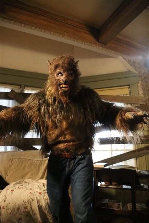 Werewolf Mates Alpha 4