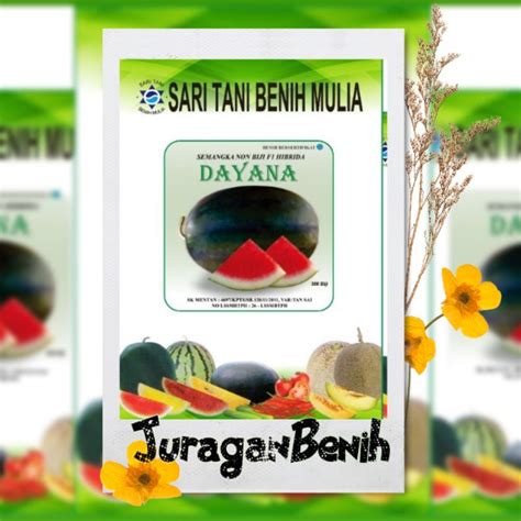 Jual Benih Semangka Non Biji Dayana F Shopee Indonesia