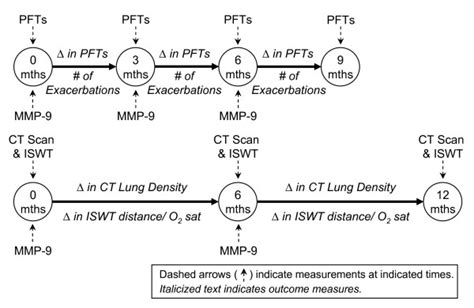 Timeline Of Repeated Measures Models For Longitudinal Analyses Several Download Scientific