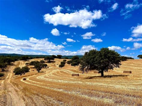 Cu Nto Cuesta Cambiar El Nombre De Una Finca R Stica Lab Es