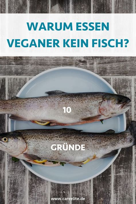 Du Willst Wissen Warum Veganer Keinen Fisch Essen Dann Bist Du Hier