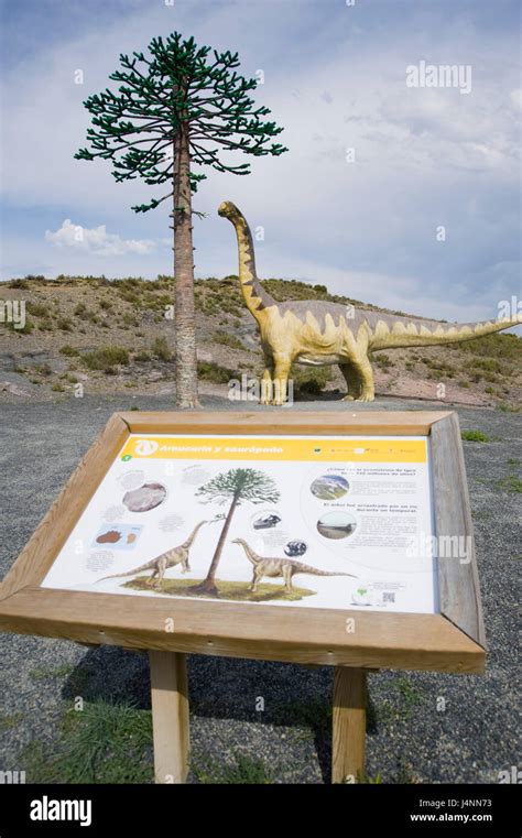 Replica Of Sauropod Camarasaurus Eating Leafs Of Araucaria Conifer Tree