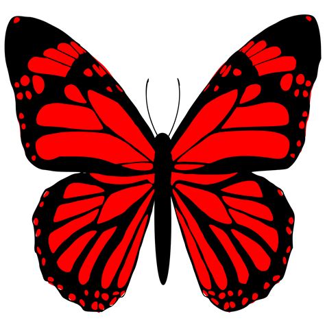 Diseño De Mariposa Roja 24134731 Png