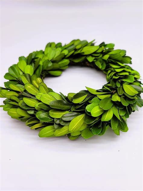 Boxwood Mini Wreath Inch Preserved Boxwood Wreath Wall Door Mounting