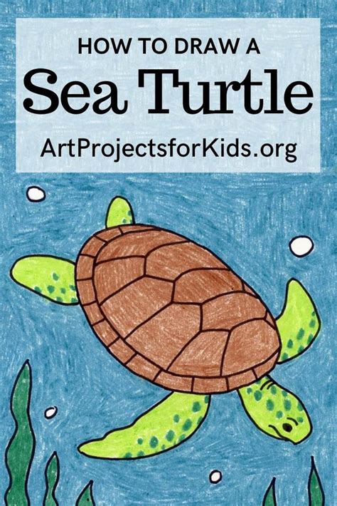 Step By Step How To Draw A Turtle How To Draw A Sea Turtle · Art