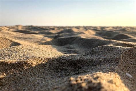 What are the uses of coarse sand? | Sand Online