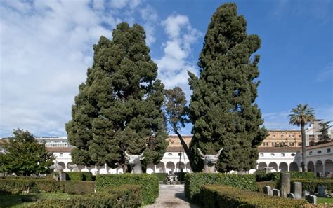 Lopera Site Specific Di Elisabetta Benassi Alle Terme Di Diocleziano A