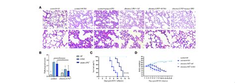 The Effect Of Chronic Low Dose Lps Stimulation On Lethal Iav Infected