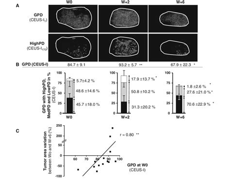 Vascular Parameters Obtained By New CEUS Analysis Of Docetaxel Treated