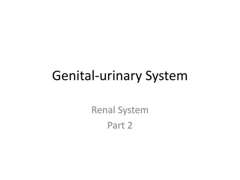 Ppt Genital Urinary System Powerpoint Presentation Free Download Id 4094001