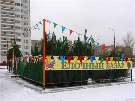Где в Ульяновске купить ёлку к Новому году? Список адресов и цены ...