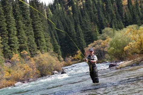 10 Best Fly Fishing Waders for 2022 - Fishmasters.com