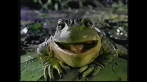 Vintage Budweiser Commercial With Frogs P Youtube