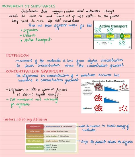 Biology Diffusion | PDF